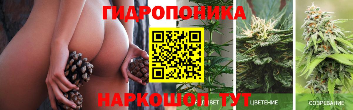 Каннабис марихуана  Конопля тримм  Конопля сатива  Вход с VPN  Миллерово  Конопля планчик 